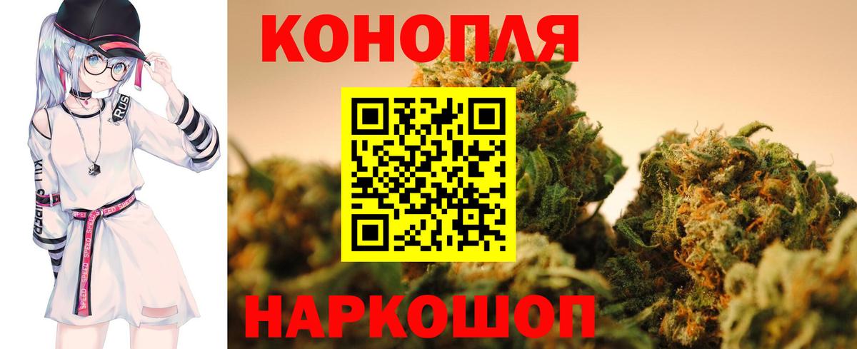 Шишки марихуана планчик Сунжа